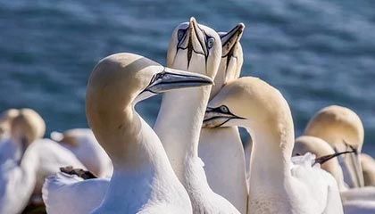 海宁高价上海医保提取2025的最新政策(2025年海宁上海医保怎么提取现金分享)