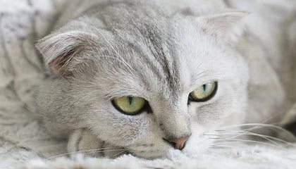 海宁高价上海医保提取2025的最新政策(2025年海宁上海医保怎么提取现金分享)