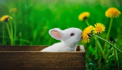 海宁高价医保报销代办中介的最新政策(2025年海宁医疗报销代办分享)